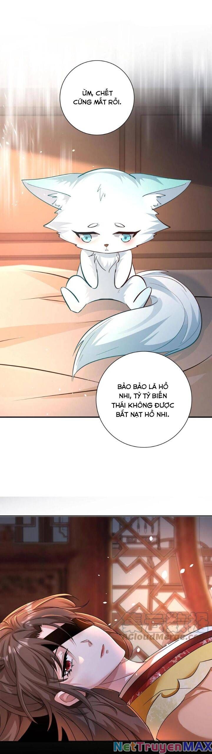 Chuyển Sinh: Thần Y Quận Chúa Khuynh Thiên Hạ Chap 7 - Next Chap 8