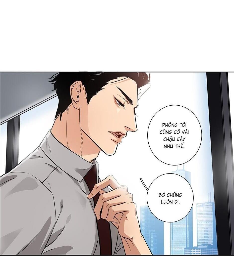 Đừng Chạm Vào Tim Tôi Chap 1 - Next Chap 2