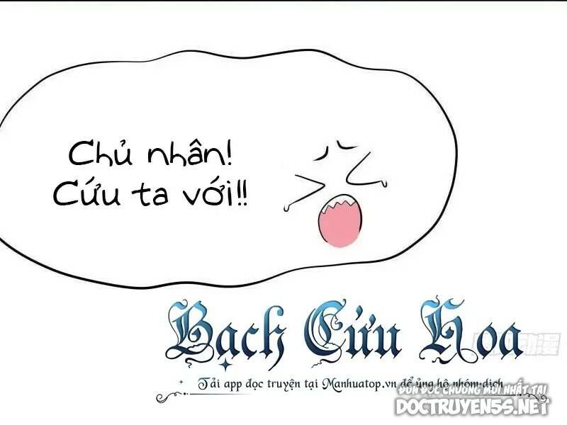 Ta Ở Địa Phủ Mở Hậu Cung Chap 41 - Next Chap 42