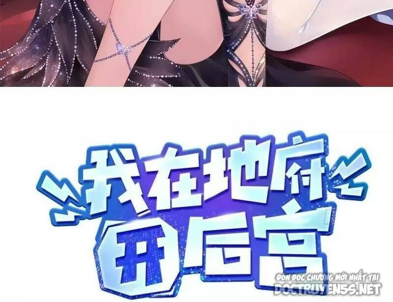 Ta Ở Địa Phủ Mở Hậu Cung Chap 47 - Next Chap 48