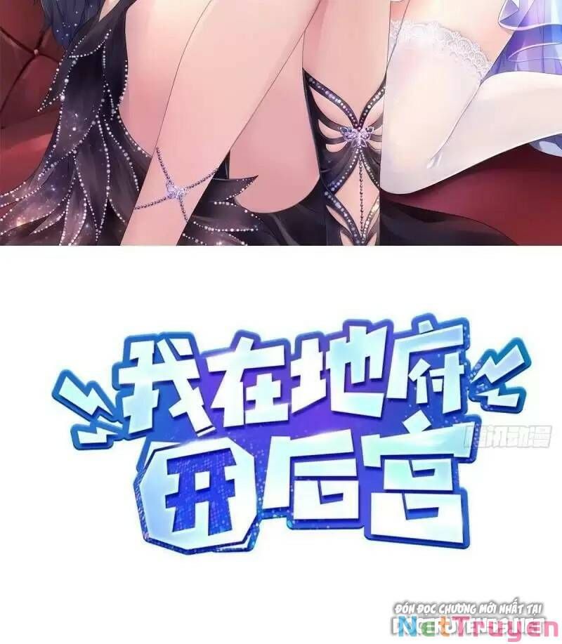 Ta Ở Địa Phủ Mở Hậu Cung Chap 87 - Next Chap 88