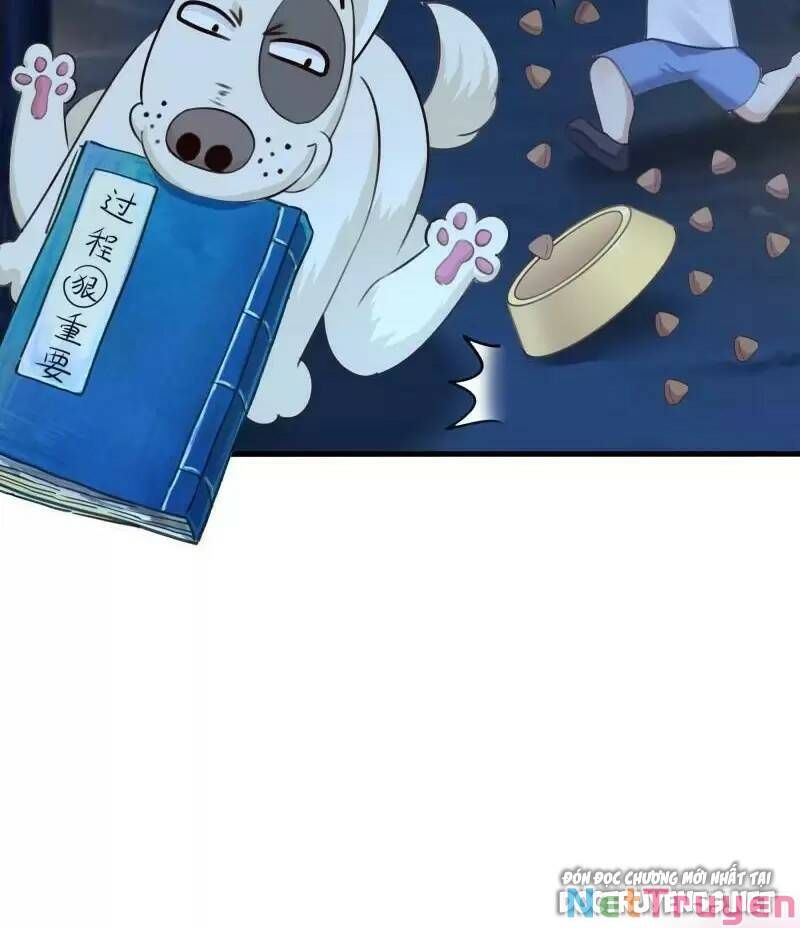 Ta Ở Địa Phủ Mở Hậu Cung Chap 87 - Next Chap 88