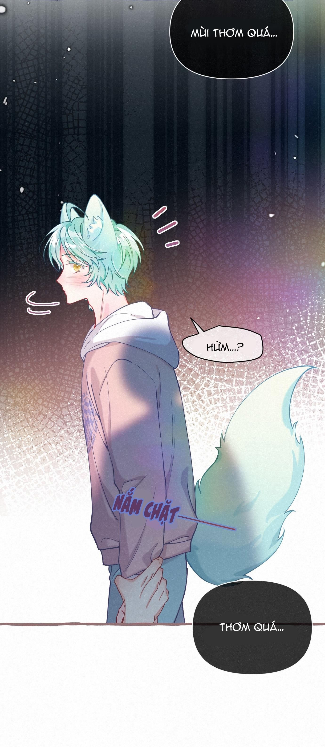 Hồ Ly Hay Là Chap 16 - Next Chap 17