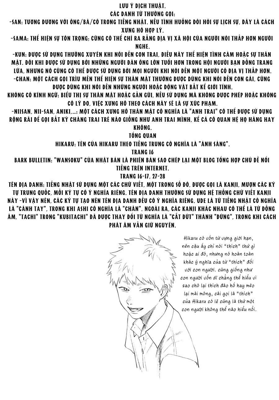 Mùa Hè Hikaru Ra Đi Chap 21 - Next Chap 22