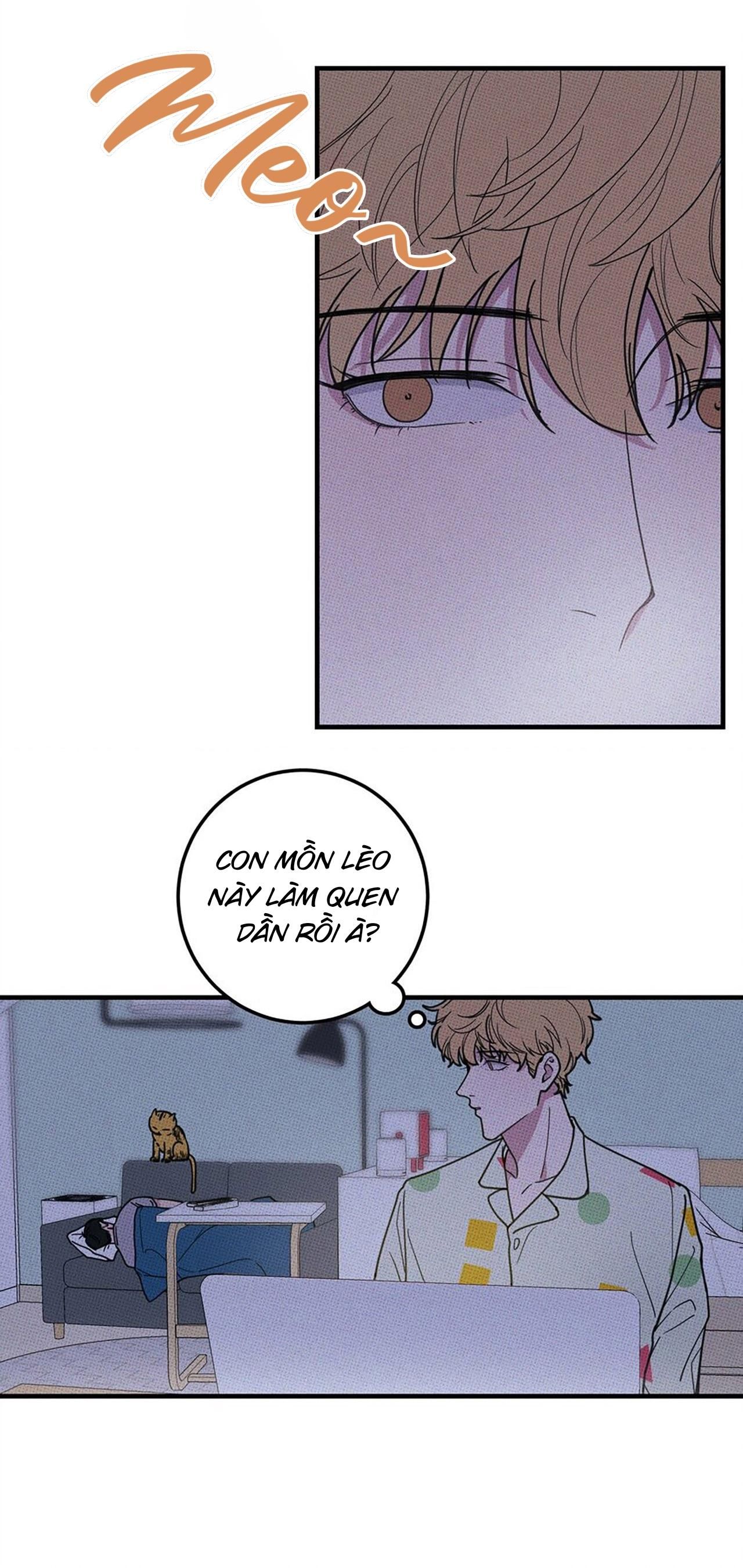 Hộp Bánh Quy Định Mệnh Chap 10 - Next Chap 11