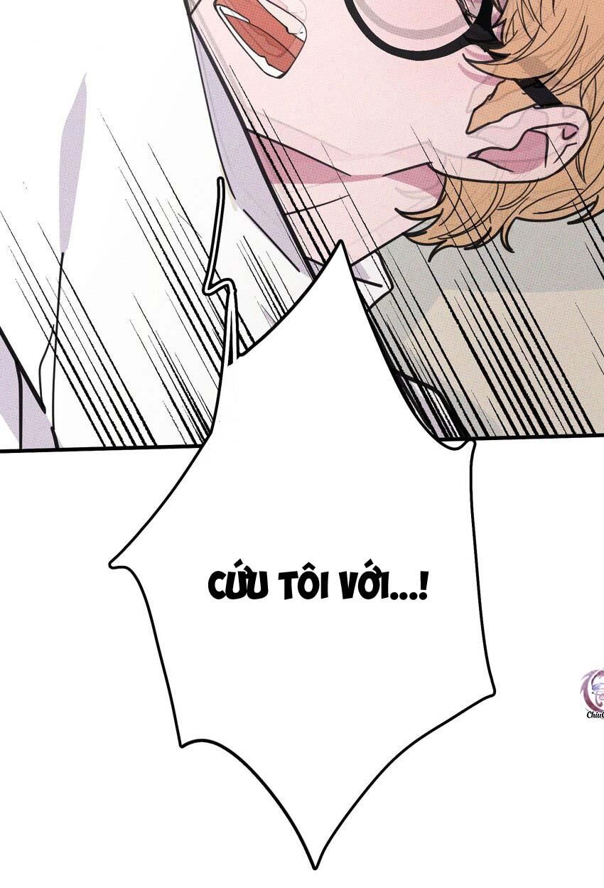 Hộp Bánh Quy Định Mệnh Chap 13 - Next Chap 14