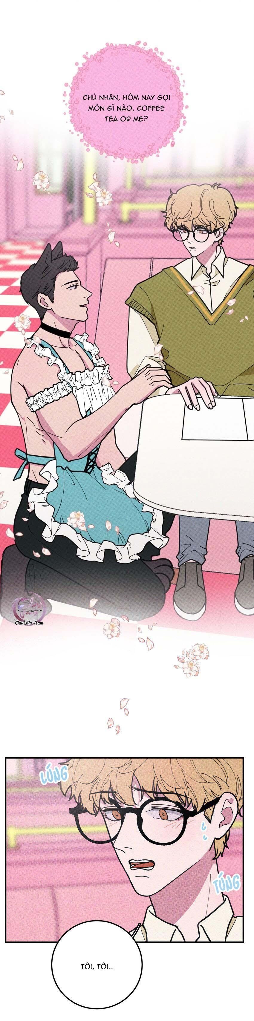 Hộp Bánh Quy Định Mệnh Chap 15 - Next Chap 16