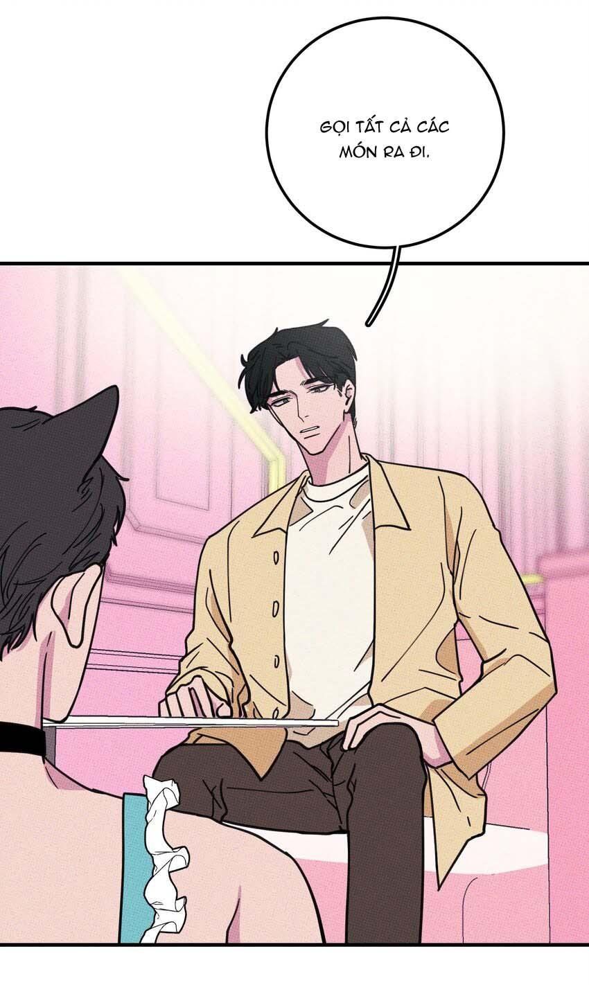 Hộp Bánh Quy Định Mệnh Chap 15 - Next Chap 16