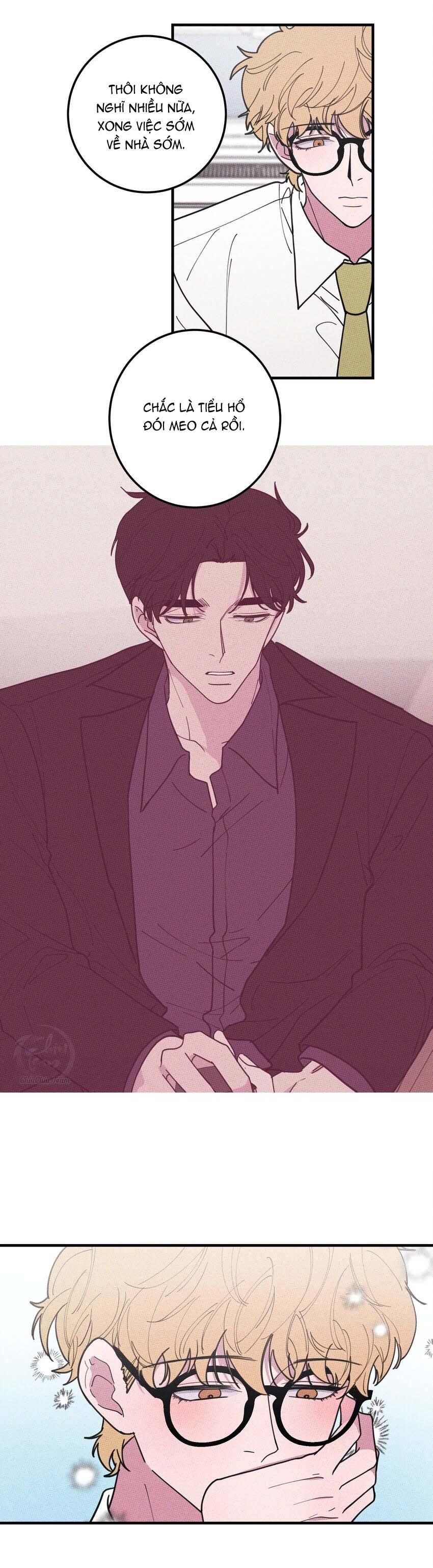 Hộp Bánh Quy Định Mệnh Chap 41 - Next Chap 42