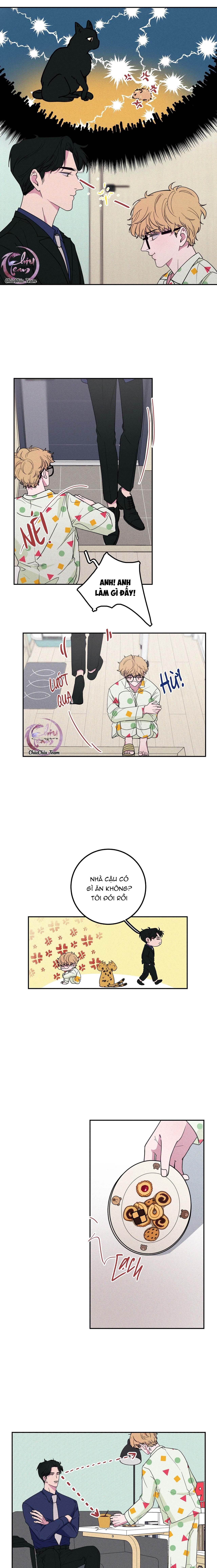 Hộp Bánh Quy Định Mệnh Chap 5 - Next Chap 6