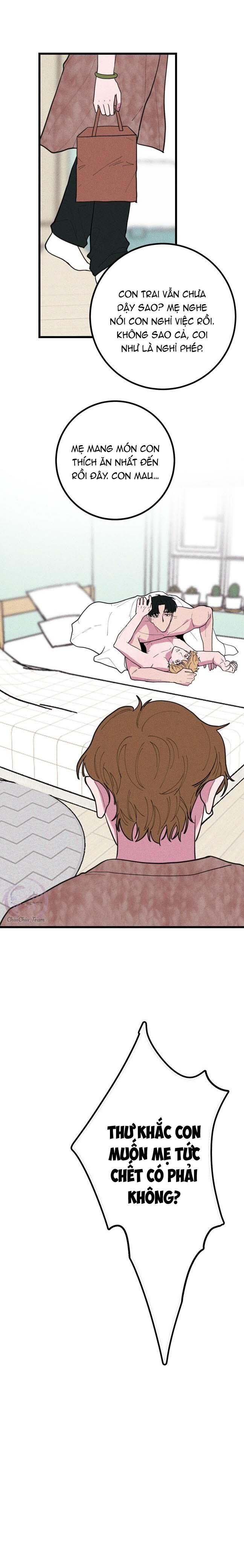 Hộp Bánh Quy Định Mệnh Chap 50 - Next Chap 51