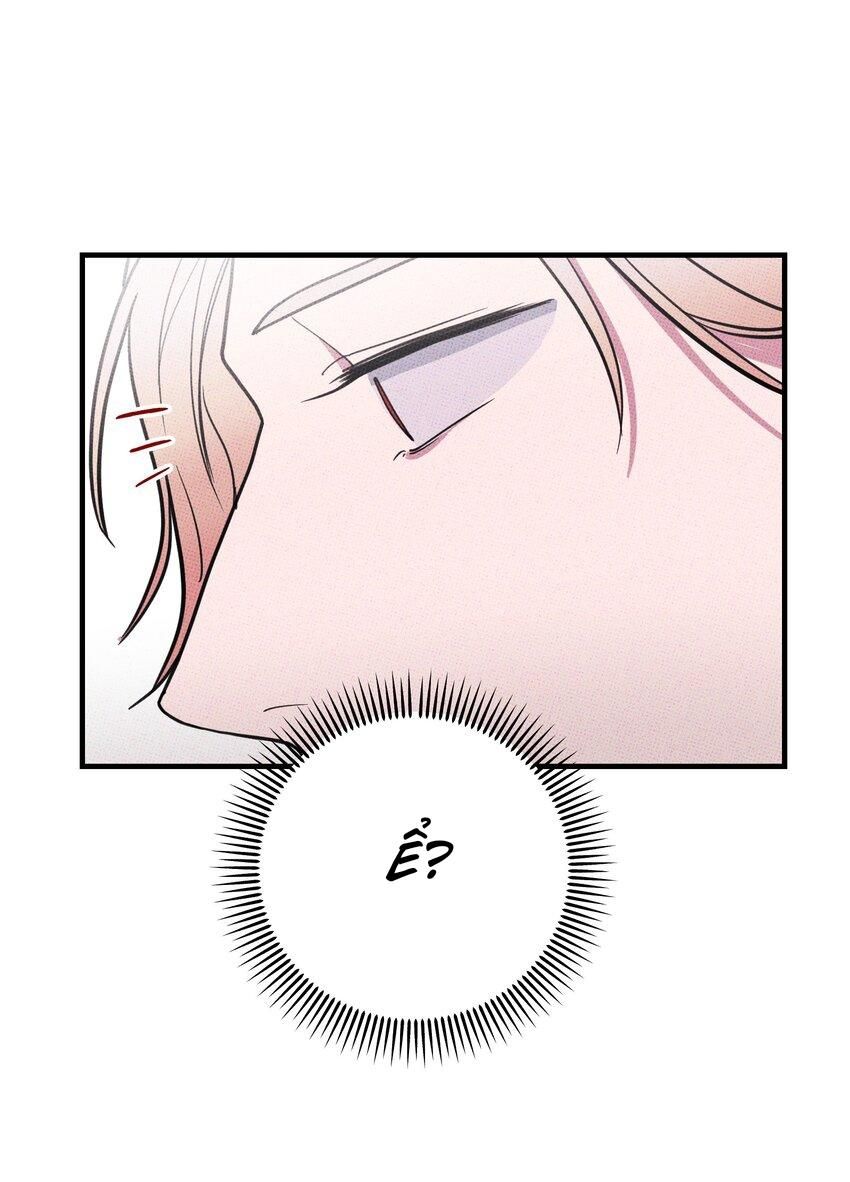 Hộp Bánh Quy Định Mệnh Chap 9 - Next Chap 10