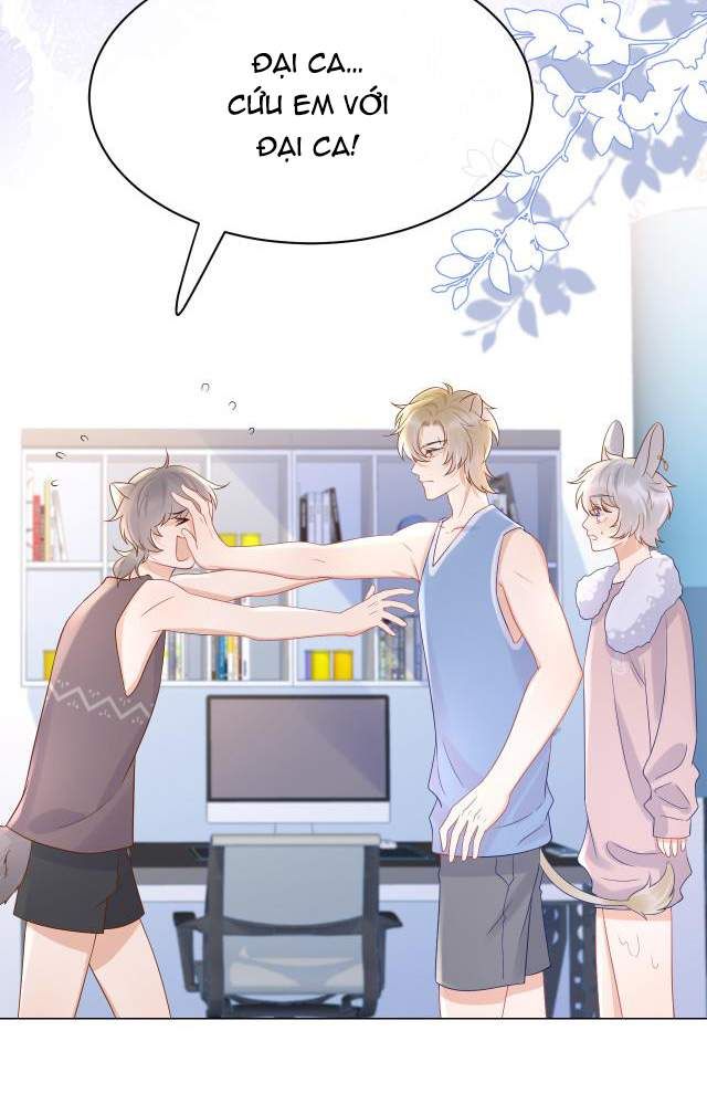 Một Ngụm Nuốt Trọn Thỏ Con Chap 11 - Next Chap 12