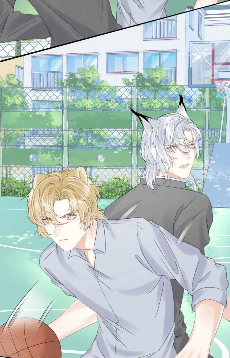 Một Ngụm Nuốt Trọn Thỏ Con Chap 38 - Next Chap 39