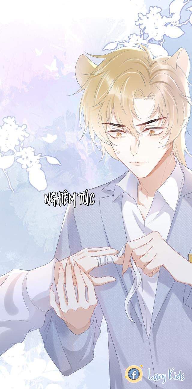 Một Ngụm Nuốt Trọn Thỏ Con Chap 5 - Next Chap 6