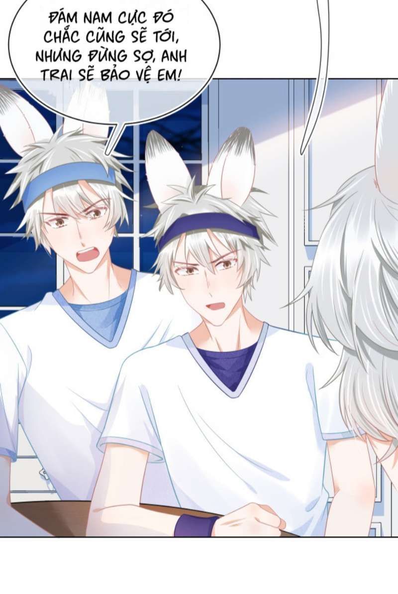 Một Ngụm Nuốt Trọn Thỏ Con Chap 91 - Next Chap 92