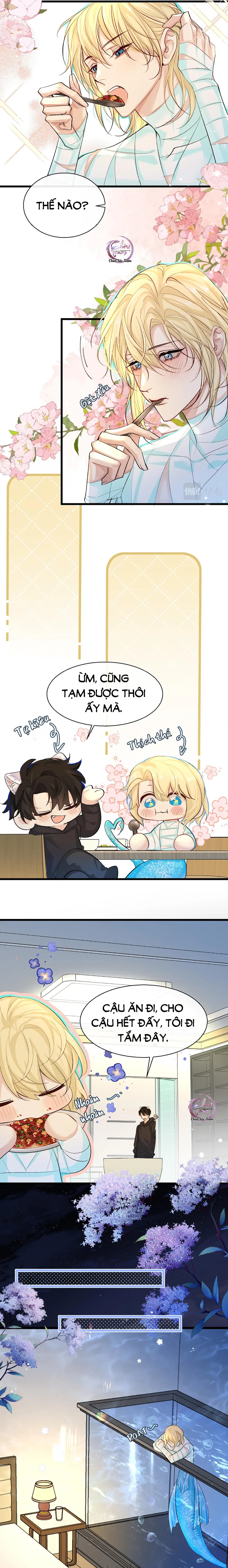 Rơi Vào Bẫy Nhân Ngư Chap 27 - Next Chap 28
