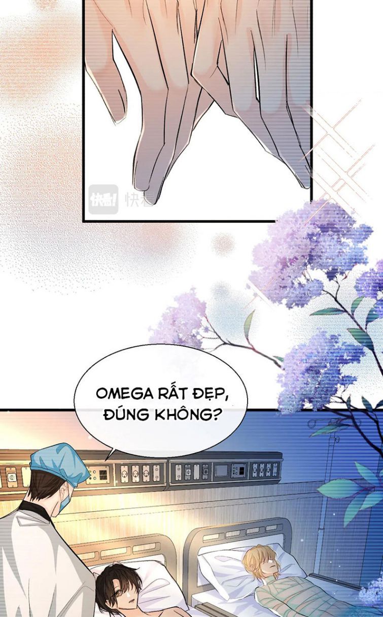 Nhân Ngư Rơi Xuống Chap 15 - Next Chap 16