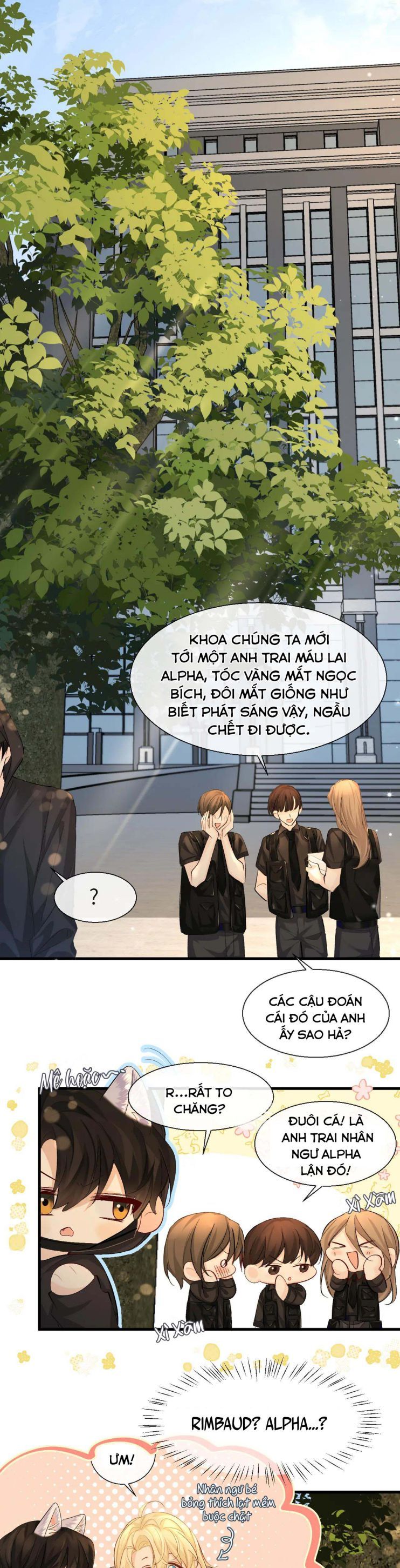 Nhân Ngư Rơi Xuống Chap 25 - Next Chap 26