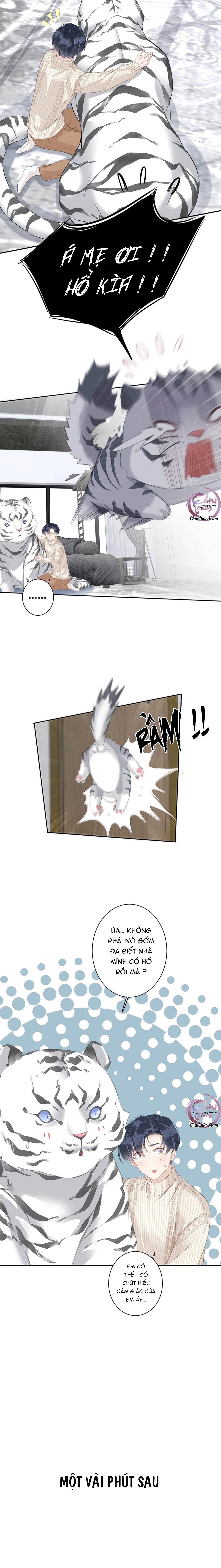 Cuộc Mai Mối Vượt Giống Loài Chap 35 - Next Chap 36