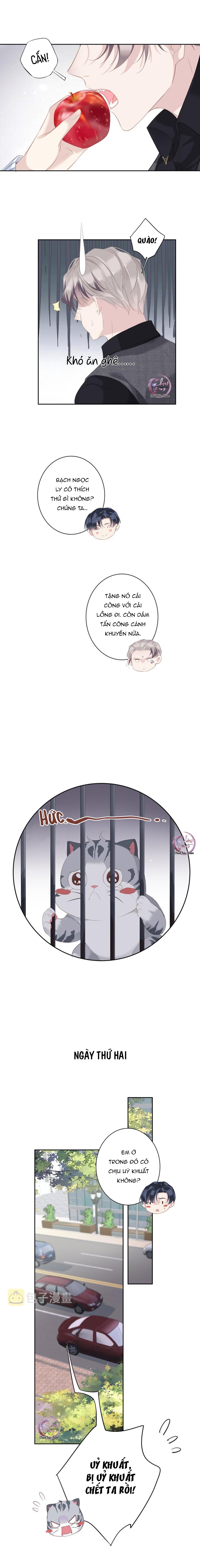 Cuộc Mai Mối Vượt Giống Loài Chap 37 - Next Chap 38