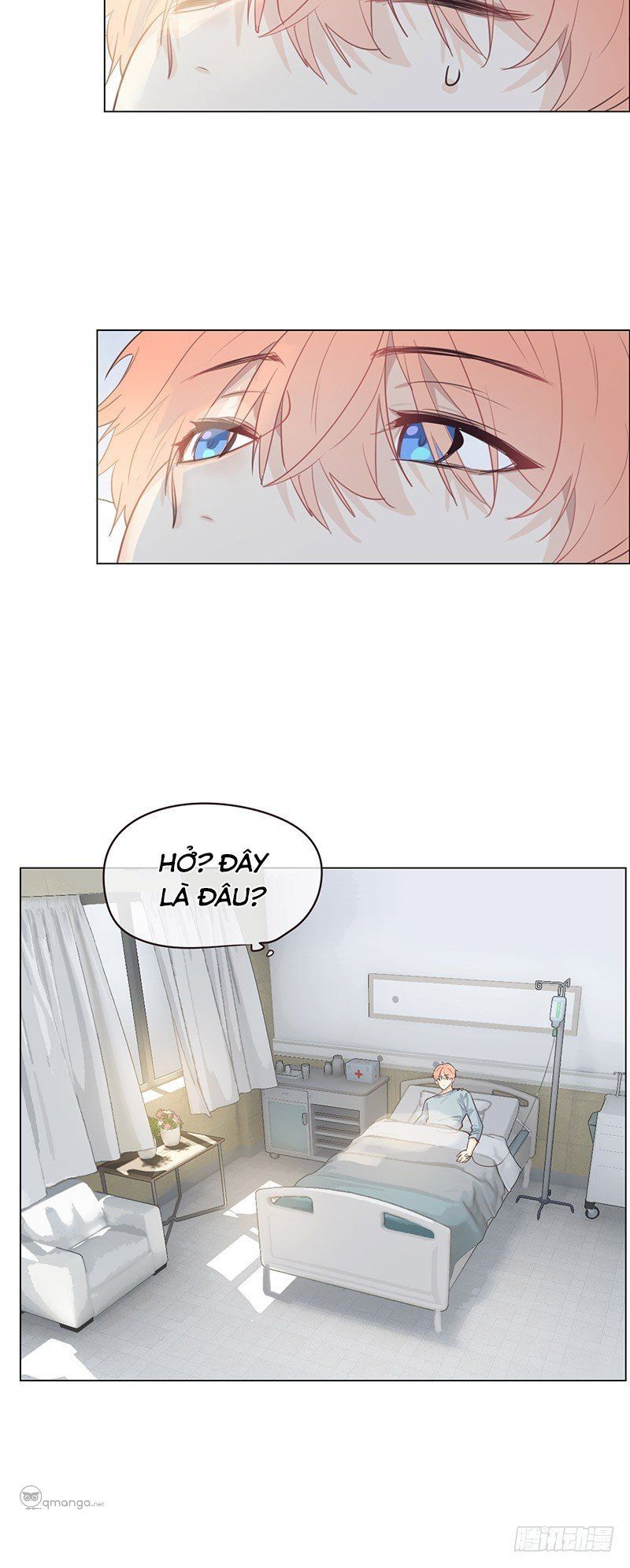 Tương Nhu Dịch Mộc Chap 21 - Next Chap 22