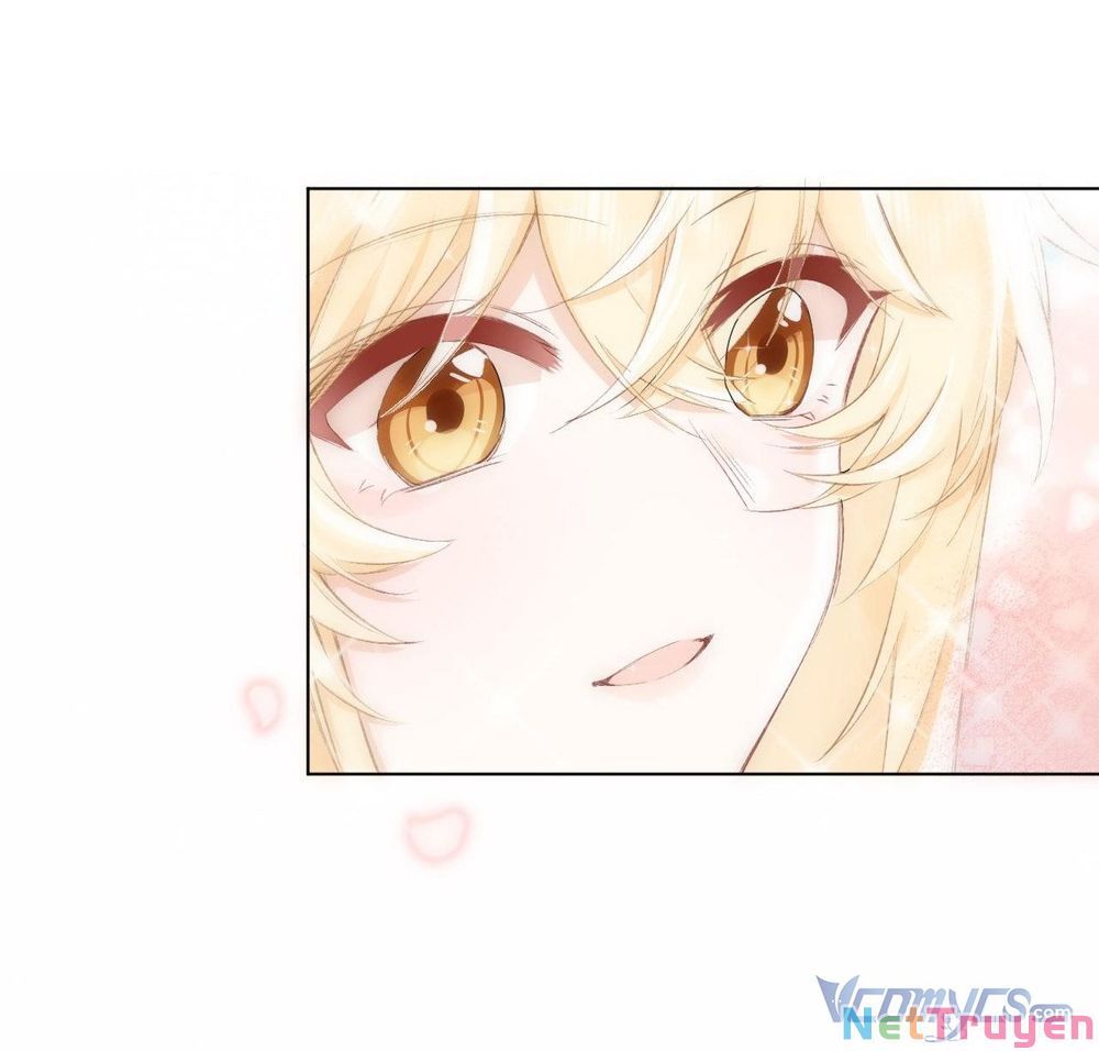 Quy Luật Yêu Đương Của Hải Vương Chap 15 - Next Chap 16