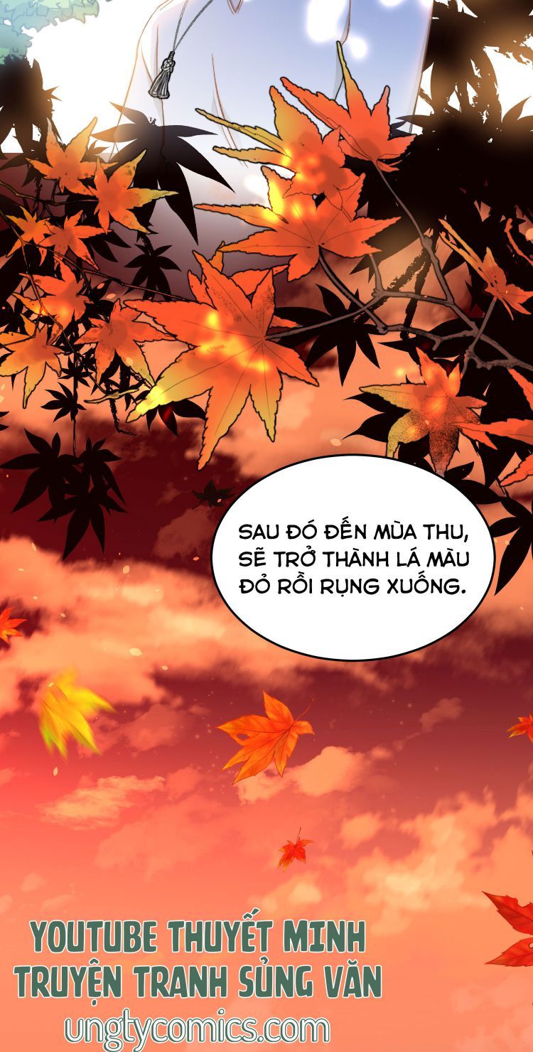 Nụ Hôn Vực Thẳm Chap 30 - Next Chap 31