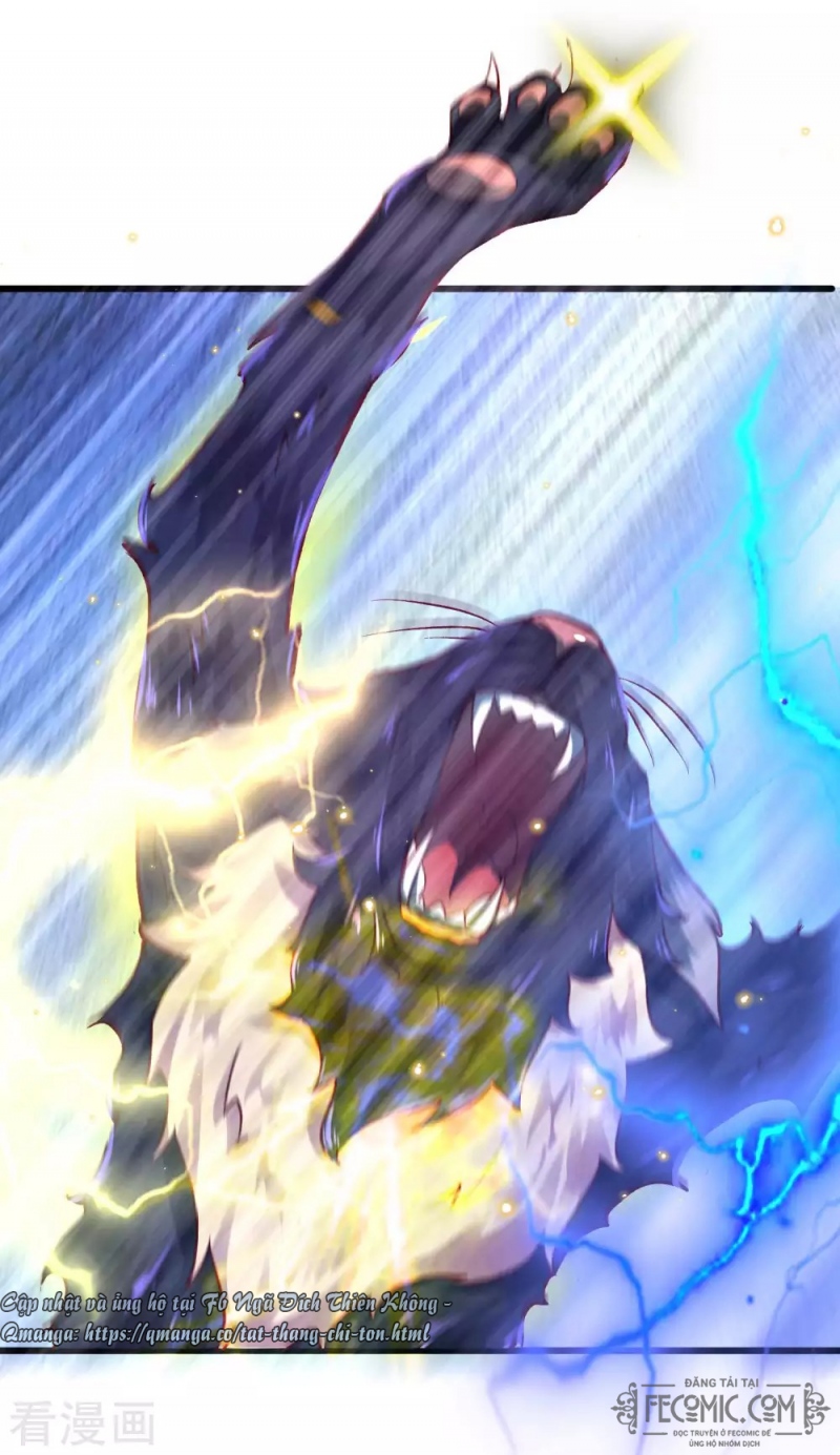 Tất Thắng Chí Tôn Chap 17 - Next Chap 18