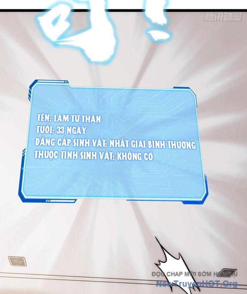 Tiến Hóa Vô Hạn Bắt Đầu Từ Con Số Không Chap 1 - Next Chap 2