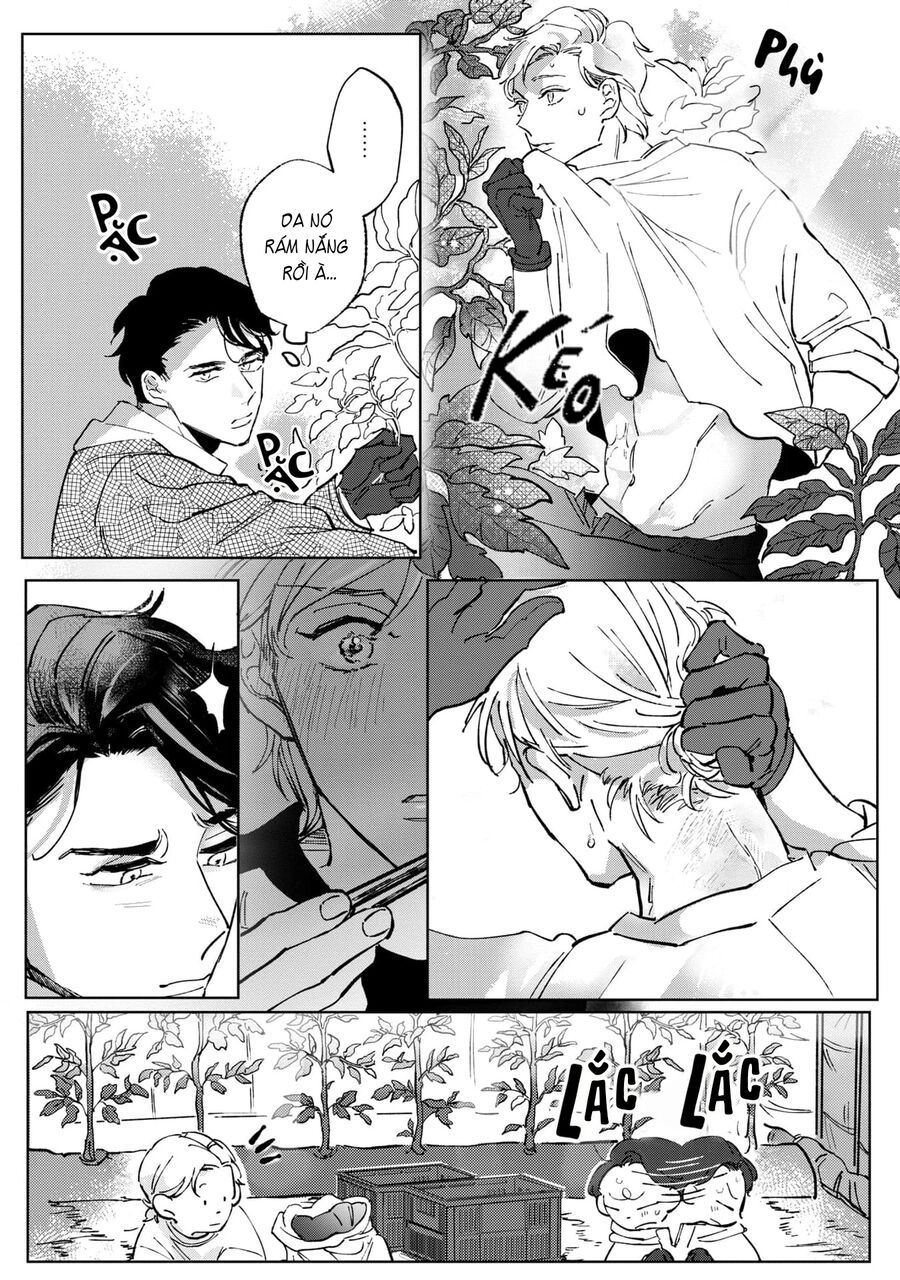 Anh Em Xã Hội Làm Nông Chap 1 - Next Chap 2