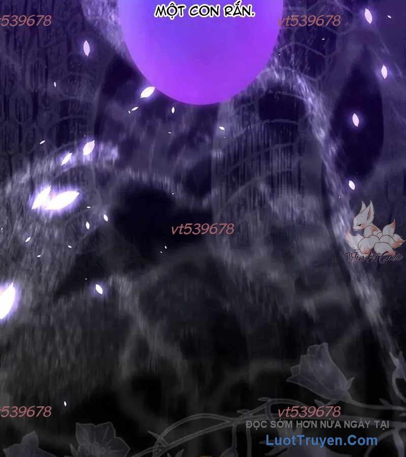 Quý Tộc Chiến Đấu Chap 5 - Next Chap 6