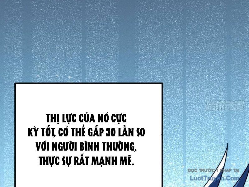 Vô Hạn Tiến Hóa Từ Con Số 0 Chap 12 - Next Chap 13