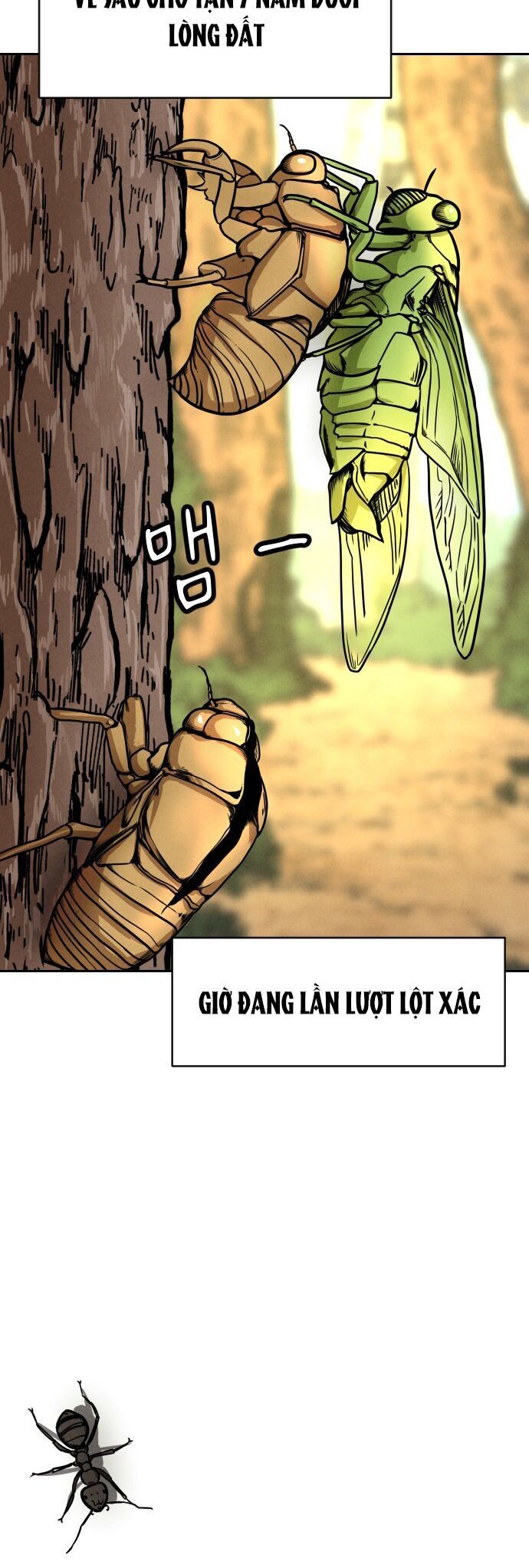 Vỏ Bọc Chap 1 - Next Chap 2