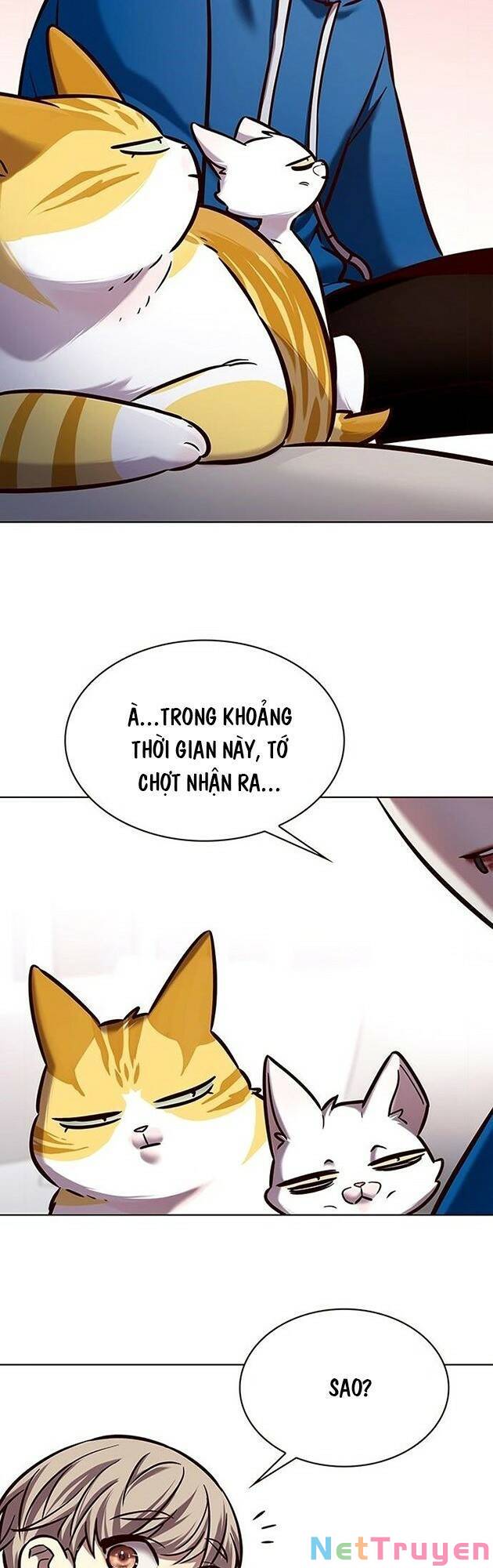 Hóa Thân Thành Mèo Chap 229 - Next Chap 230