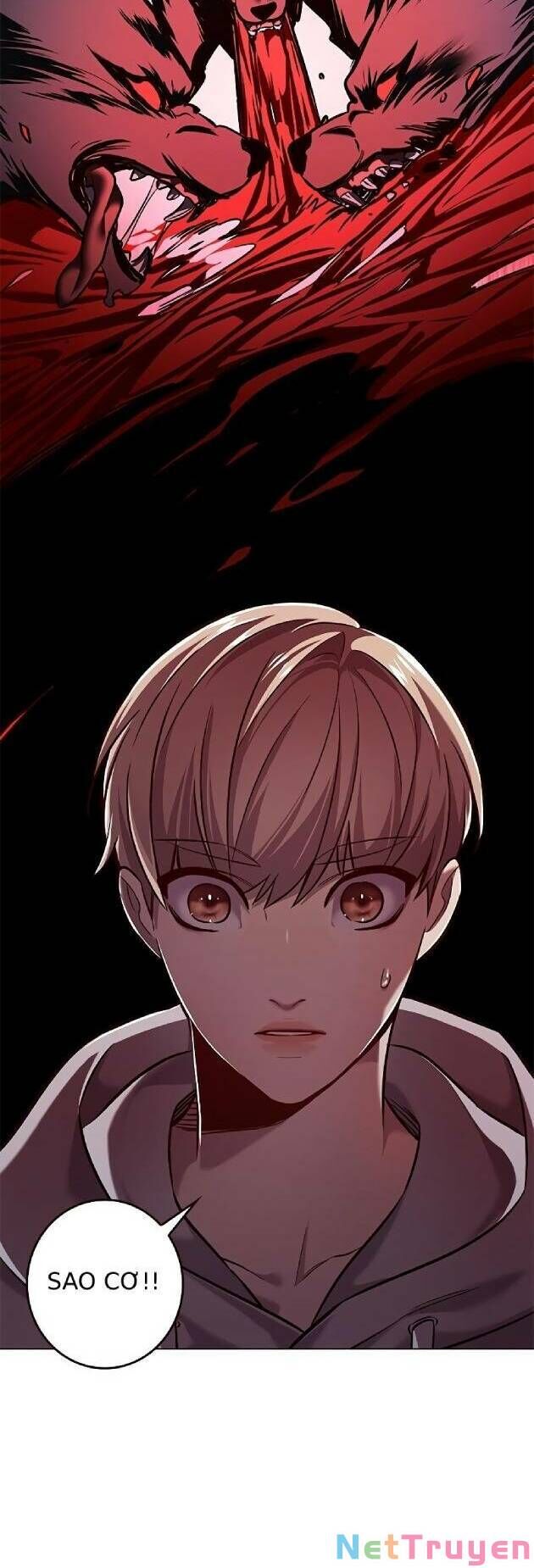 Hóa Thân Thành Mèo Chap 239 - Next Chap 240