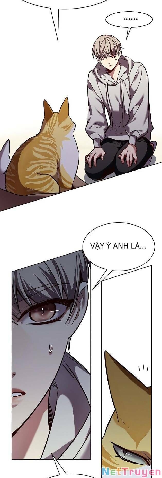 Hóa Thân Thành Mèo Chap 239 - Next Chap 240