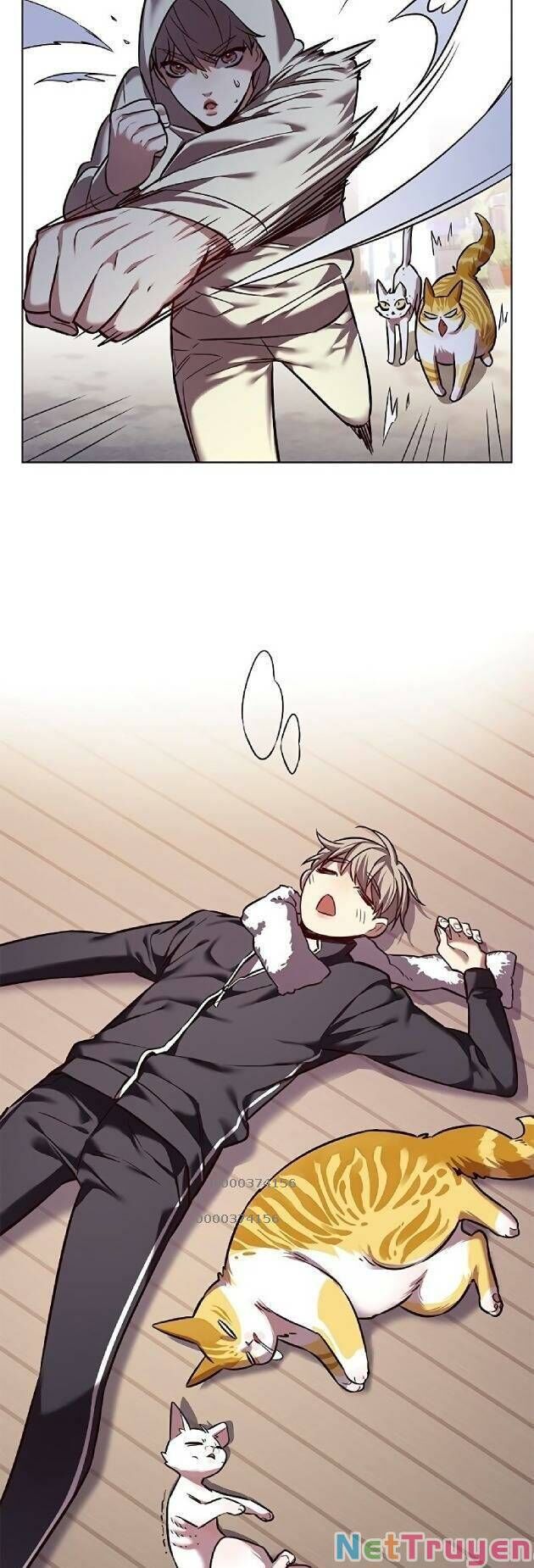 Hóa Thân Thành Mèo Chap 239 - Next Chap 240