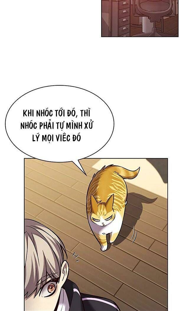 Hóa Thân Thành Mèo Chap 242 - Next Chap 243