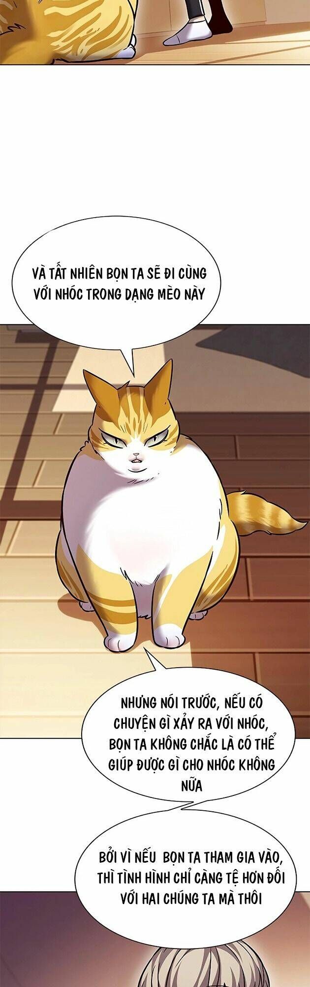 Hóa Thân Thành Mèo Chap 242 - Next Chap 243