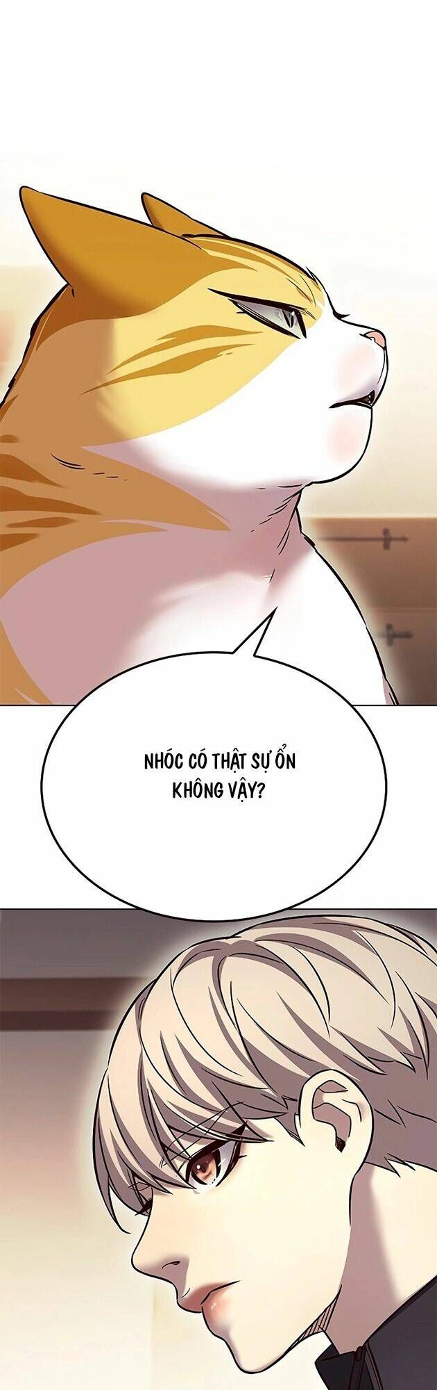 Hóa Thân Thành Mèo Chap 242 - Next Chap 243