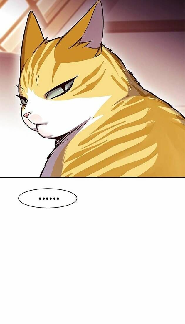 Hóa Thân Thành Mèo Chap 242 - Next Chap 243