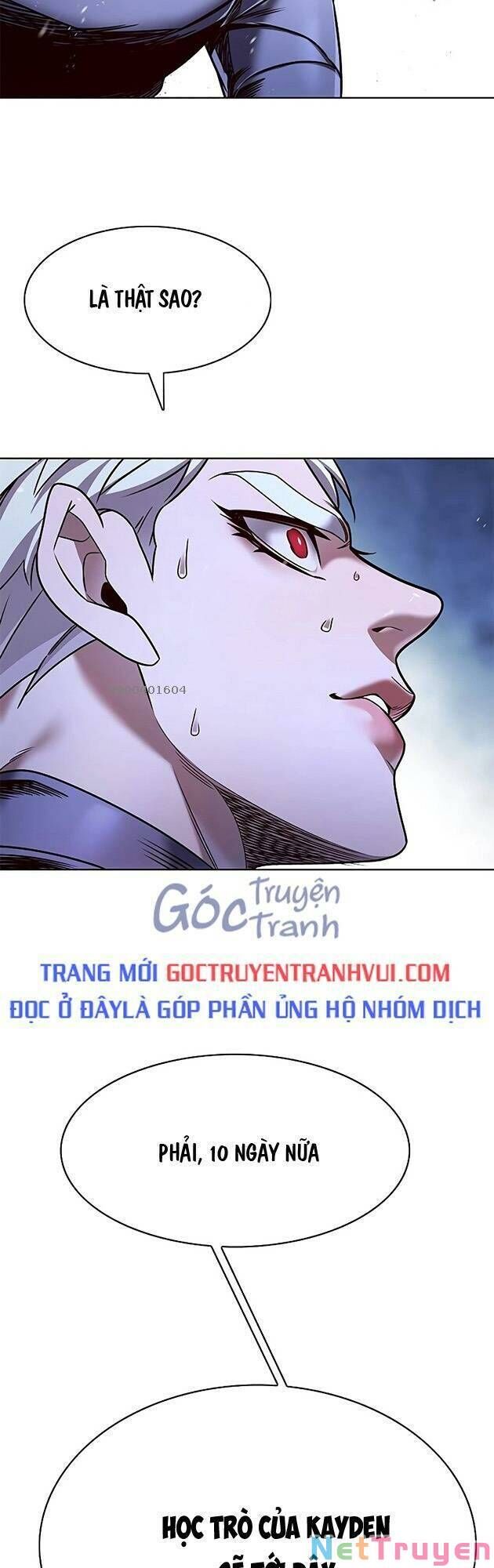 Hóa Thân Thành Mèo Chap 243 - Next Chap 244