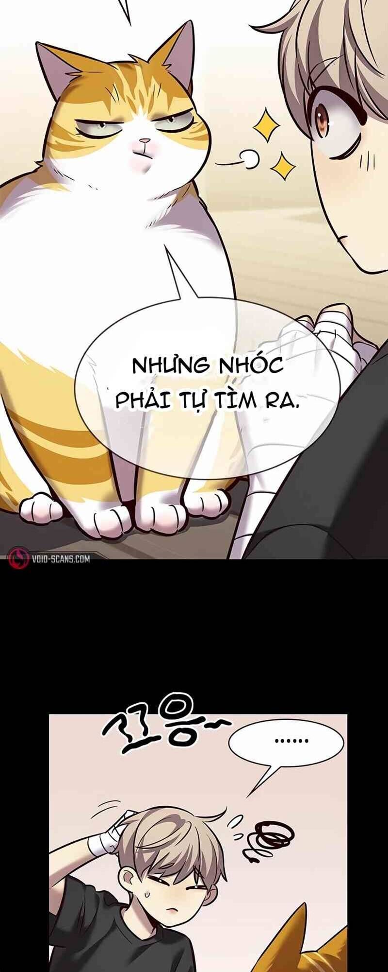 Hóa Thân Thành Mèo Chap 244 - Next Chap 245