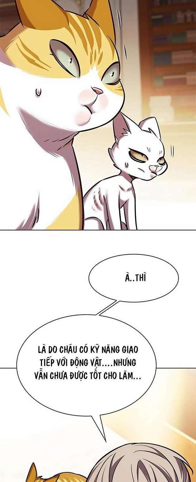 Hóa Thân Thành Mèo Chap 246 - Next Chap 247