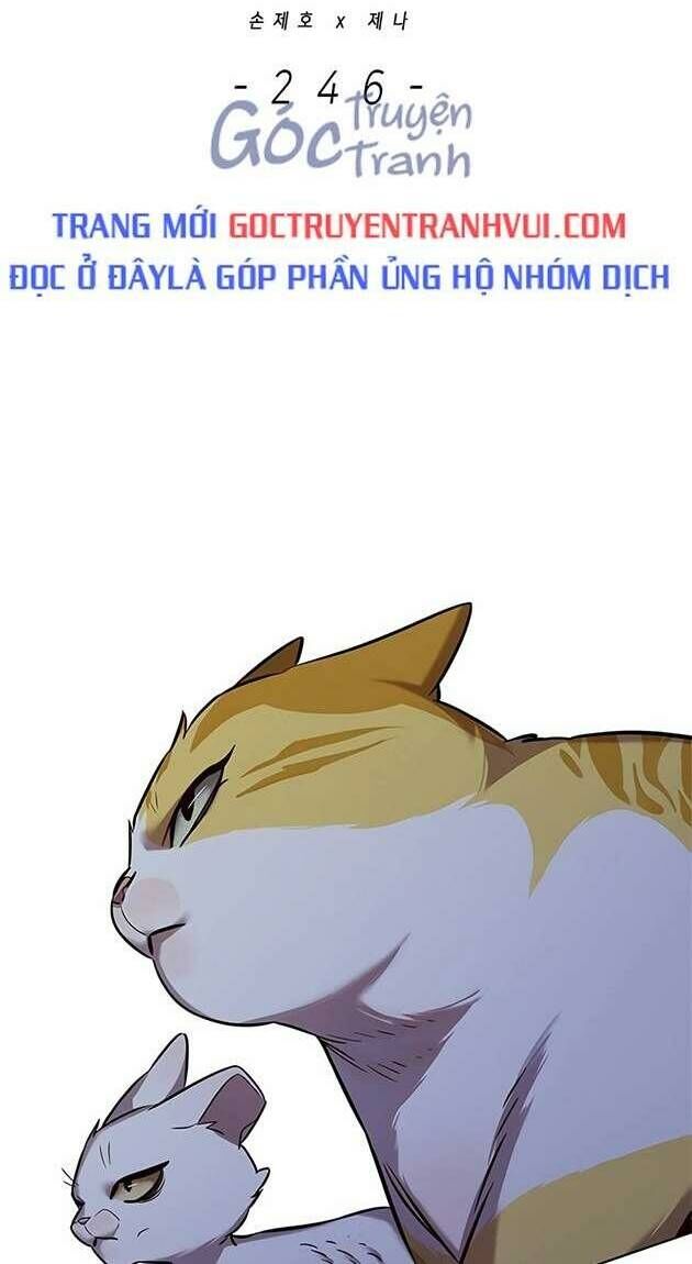 Hóa Thân Thành Mèo Chap 246 - Next Chap 247