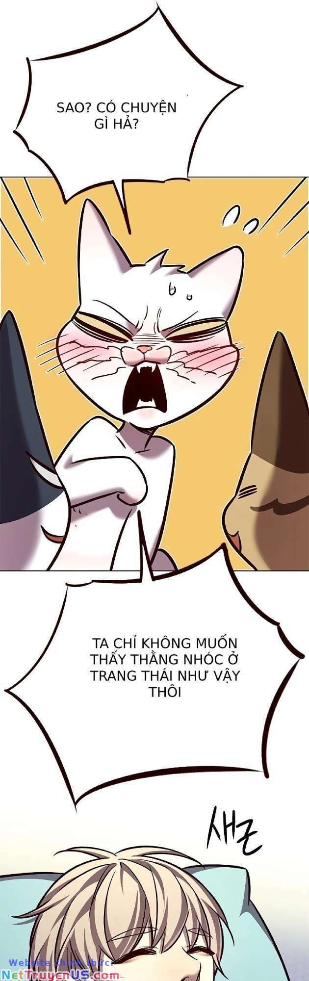 Hóa Thân Thành Mèo Chap 262 - Next Chap 263