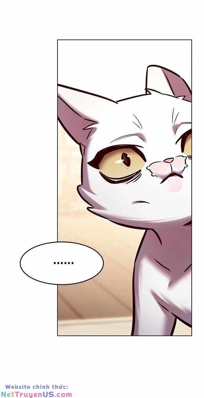 Hóa Thân Thành Mèo Chap 275 - Next Chap 276