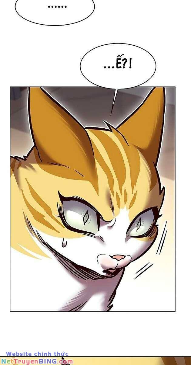 Hóa Thân Thành Mèo Chap 278 - Next Chap 279