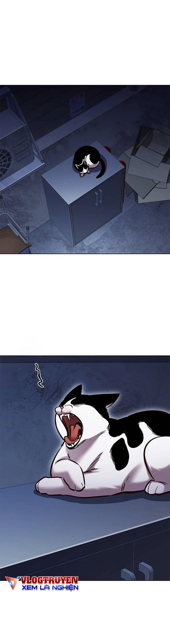 Hóa Thân Thành Mèo Chap 279 - Next Chap 280